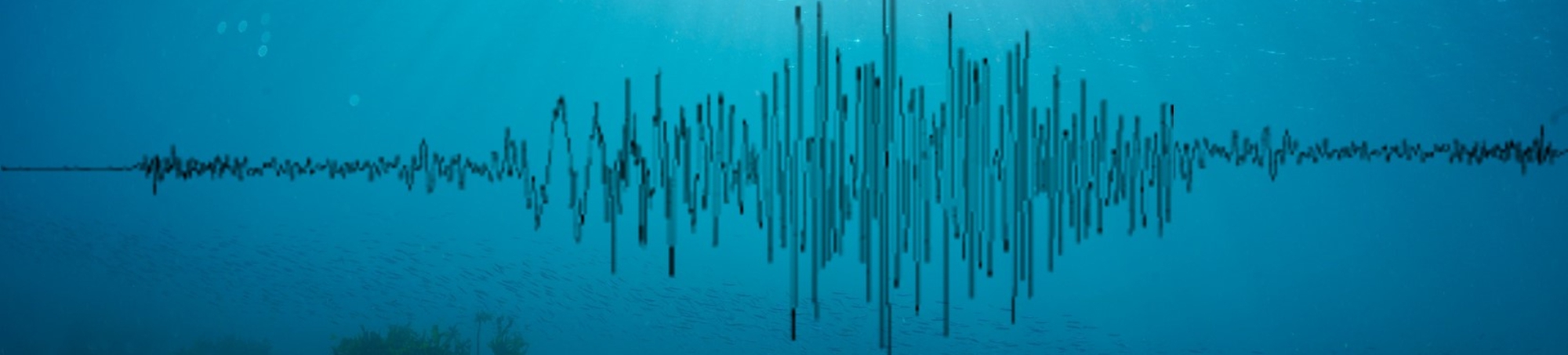 רעידות האדמה בצפון ישראל