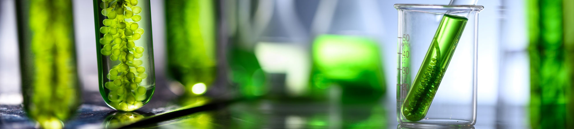 מה אתם יודעים על לישון עם צמחים?