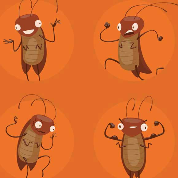 מה אתם יודעים על תיקנים?