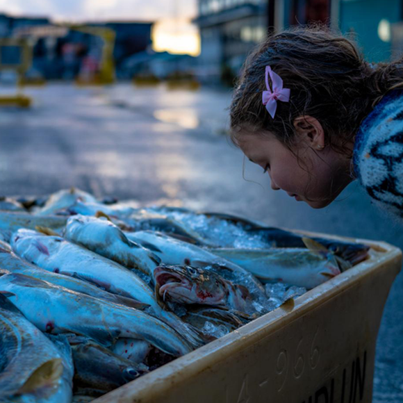 סוד הריח הנעלם