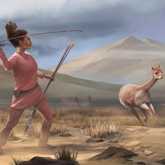 גברים צדים, נשים מלקטות – וגם צדות