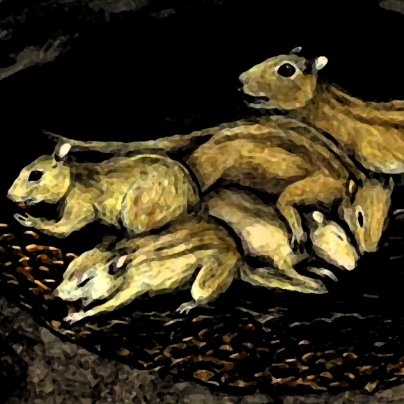 השחר של חיי החברה