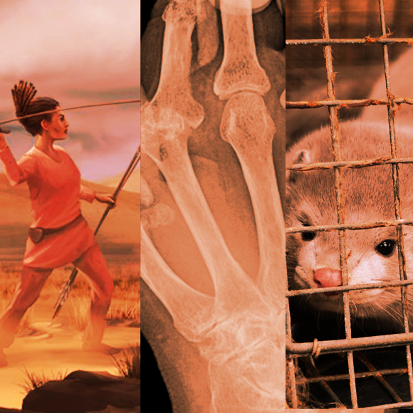 מהנשמדע 13/11 – מחקרים חדשים ביותר