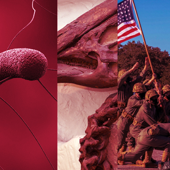 מהנשמדע 20/11 – מחקרים חדשים ביותר