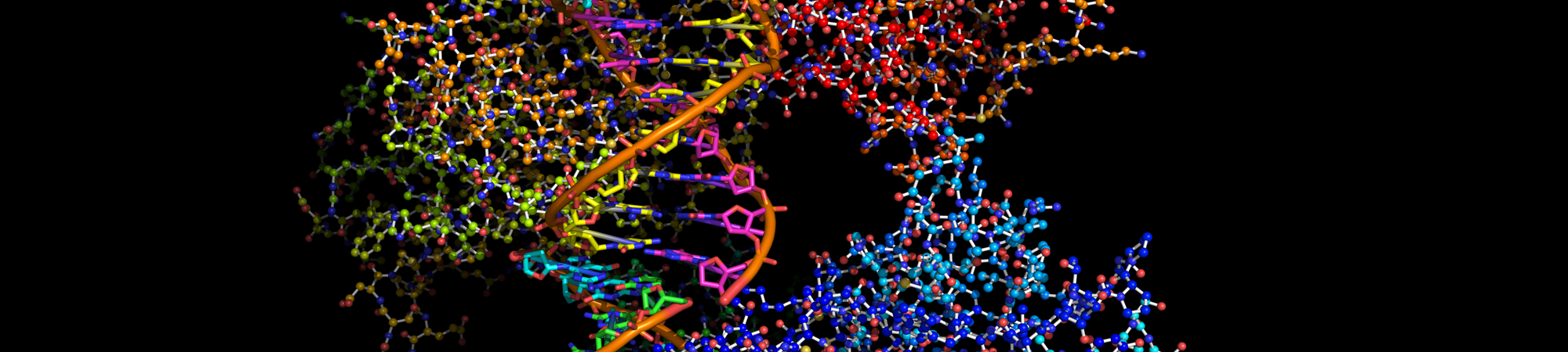 سلسلة نقل الإلكترونات – القوة التي تُنتِج الطاقة في الجسم