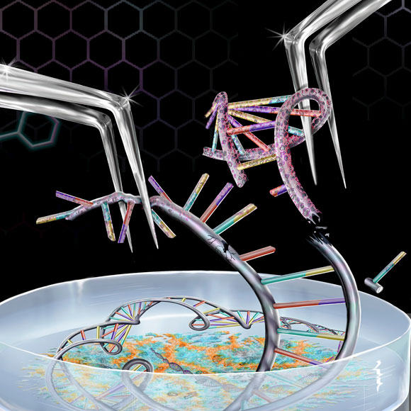 علاج السُّمنة بواسطة الجينات