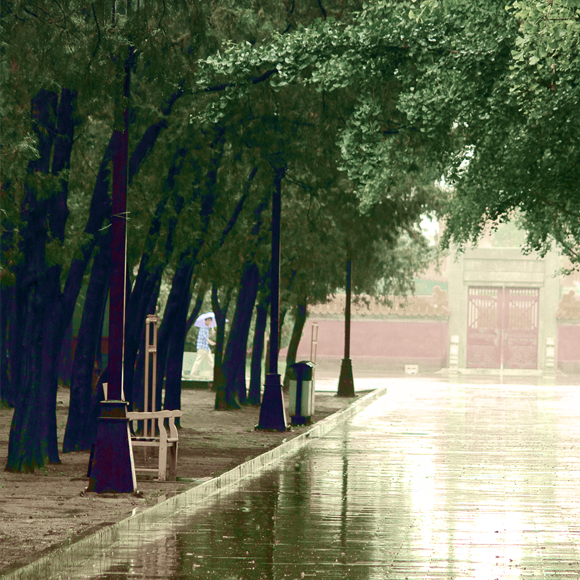 ما هو سرّ رائحة المطر؟