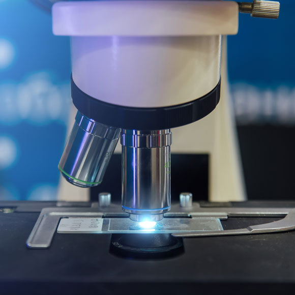 היכולת המפתיעה של מיקרוסקופ האור