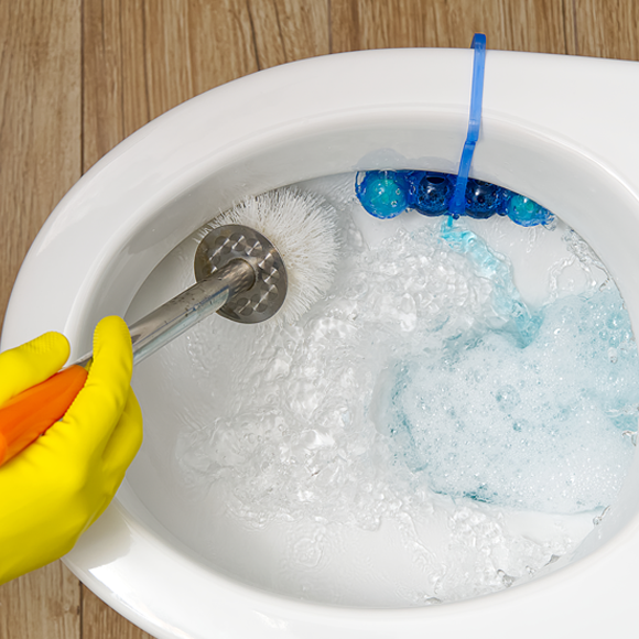 מדעי השירותים: מה הכי היגייני?