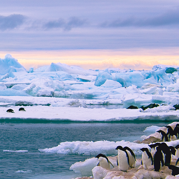 מדוע קר כל כך באנטארקטיקה?