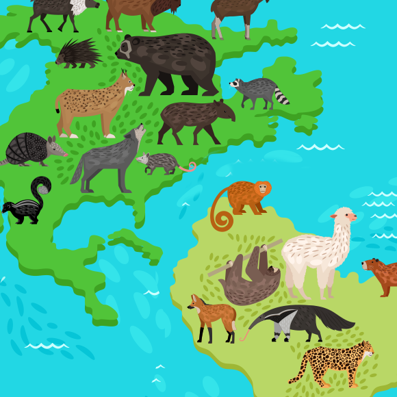 מסלול הנדודים החד-סטרי של היונקים באמריקה