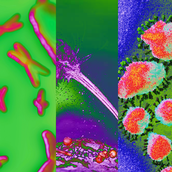 מהנשמדע 18/12 – מחקרים חדשים ביותר