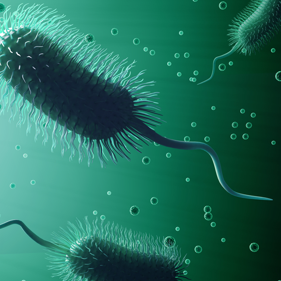 الجراثيم – بسيطة ومعقّدة في آن واحد