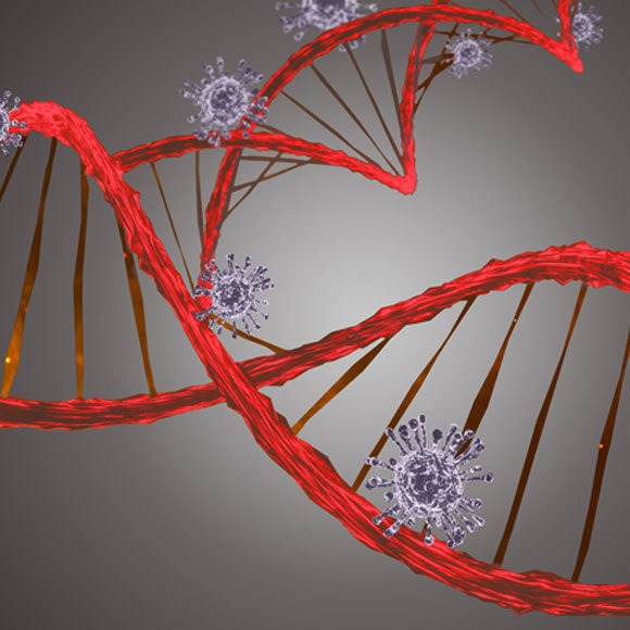 האם נגיף הקורונה משנה את ה-DNA שלנו?