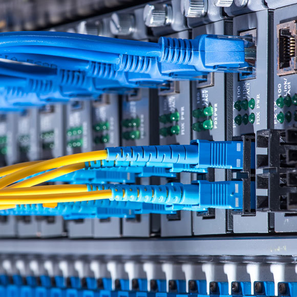 התקשורת גילתה את האור