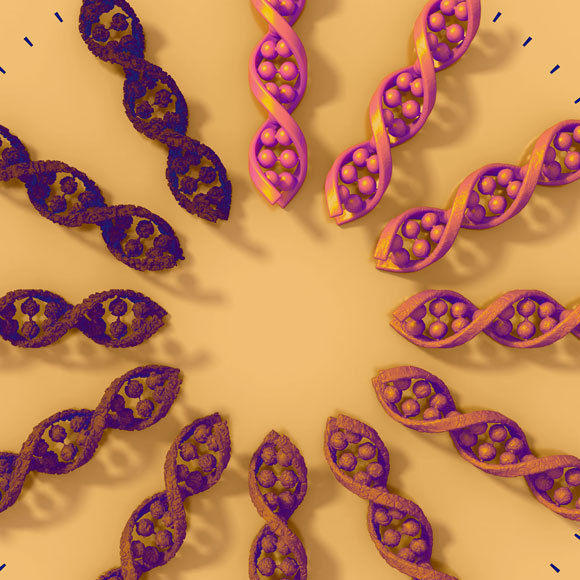 שיתוף פעולה לחיים ארוכים