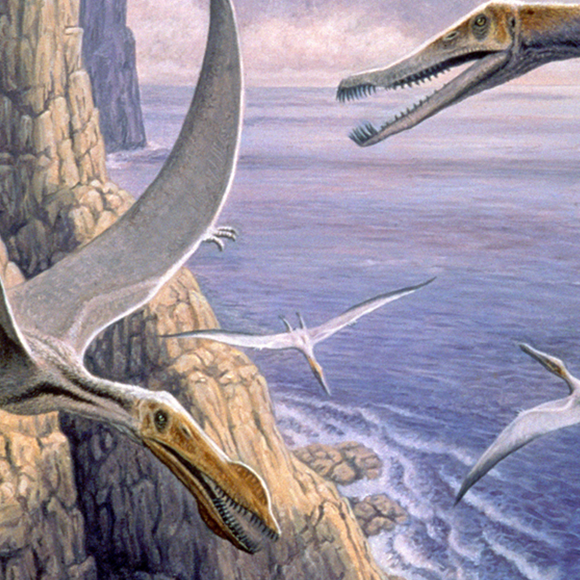 המלחמה על השמיים הקדומים