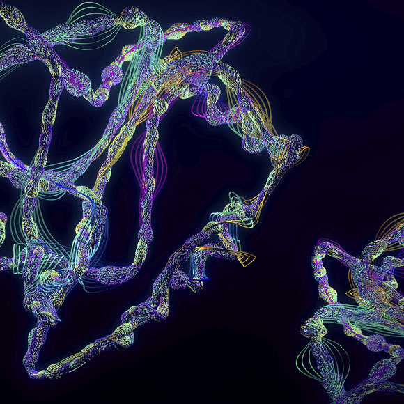 Die Bausteine des Lebens