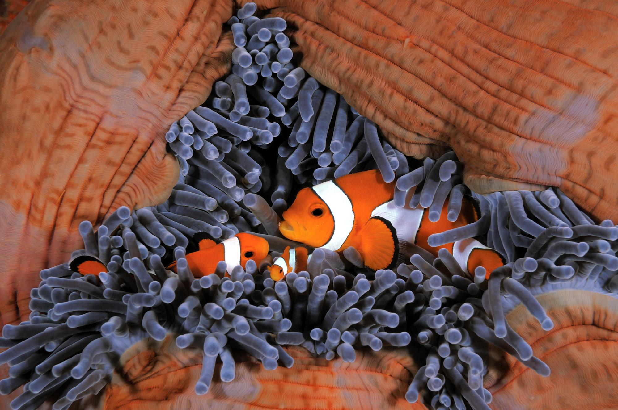 Teamarbeit in der Natur