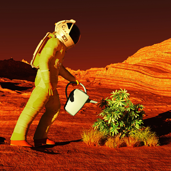 מה אתם יודעים על צמחים במאדים?