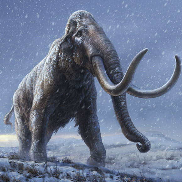 הממותות שחזרו מהכפור