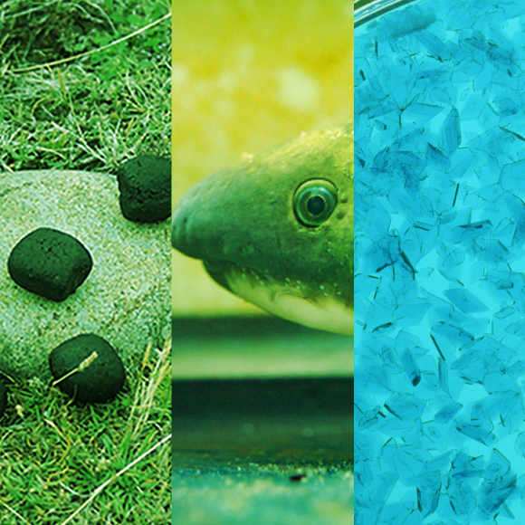 מהנשמדע 5/2 – מחקרים חדשים ביותר