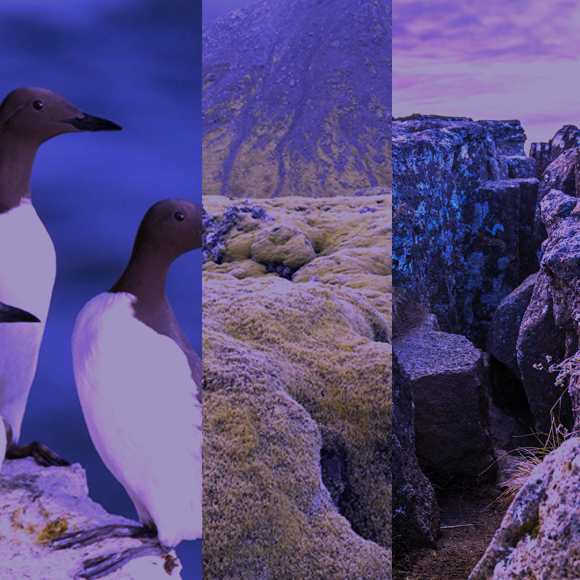 מהנשמדע 12/2 – מחקרים חדשים ביותר