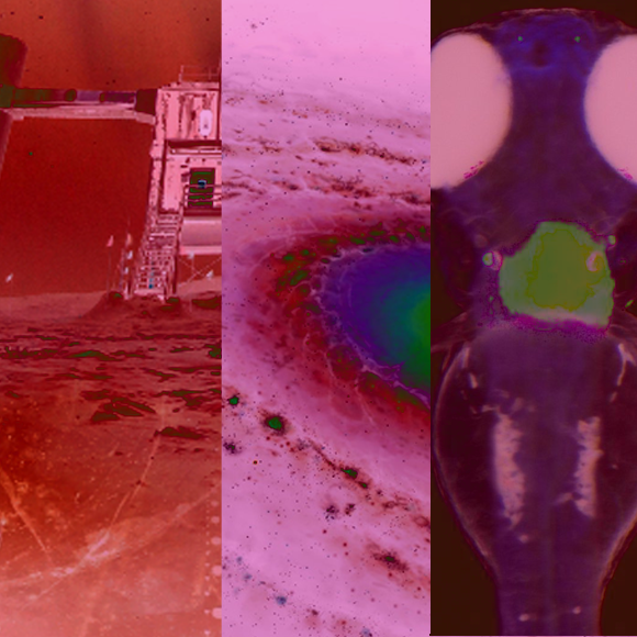 מהנשמדע 27/2 – מחקרים חדשים ביותר