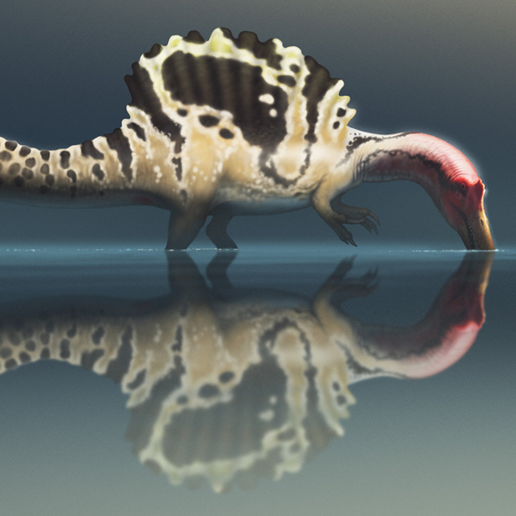 הספינוזאורוס: שליט הנהרות, או משכשך במים רדודים?