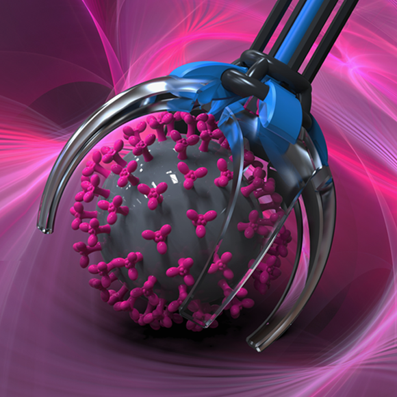 اندلاع فيروس كورونا: آخر المستجدّات