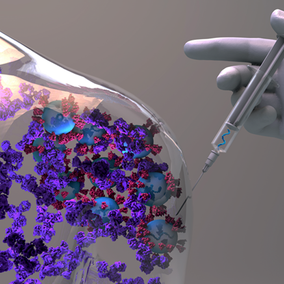 המספרים מראים: החיסונים פועלים