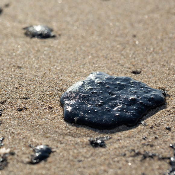 שחור בעיניים: הסכנות של זיהום זפת