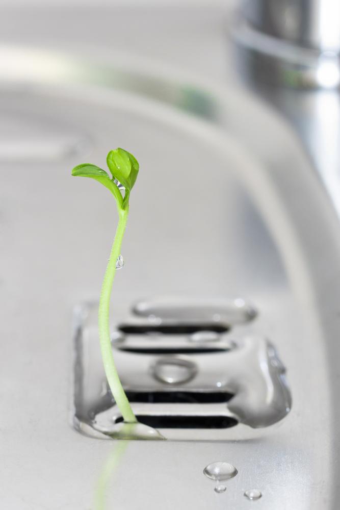 Biotechnologie in der Küche