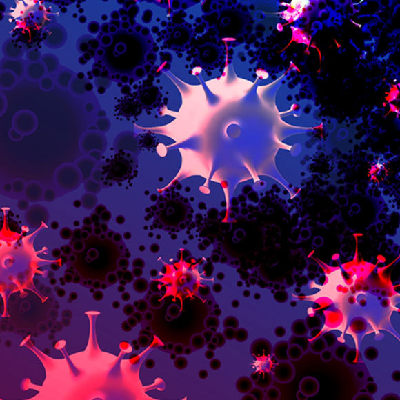 האבולוציה הבלתי נמנעת של הקורונה