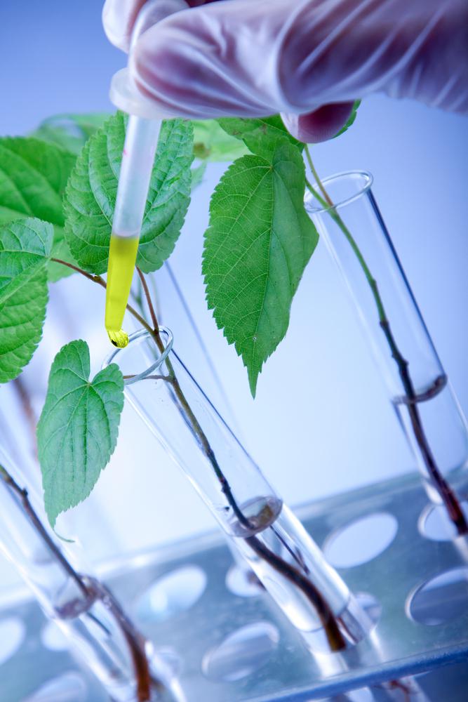 الأساس الجزيئي للهندسة الوراثية