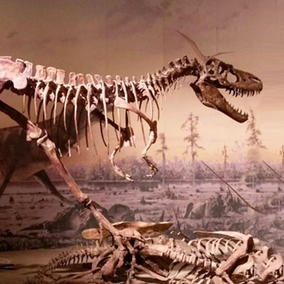 הדינוזאורים החסרים