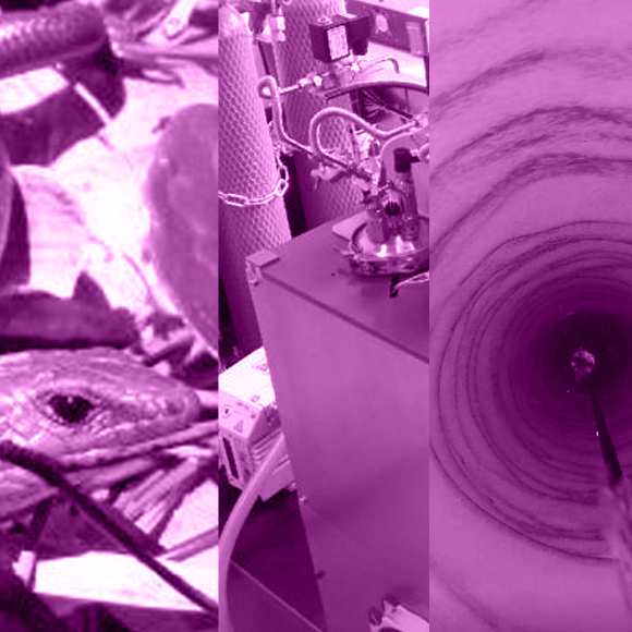 מהנשמדע 5/3 – מחקרים חדשים ביותר