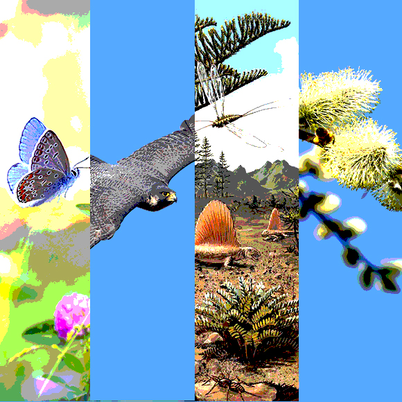 מהנשמדע 20/3 – מחקרים חדשים ביותר