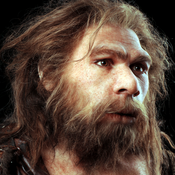 שיחות עם ניאנדרטלים