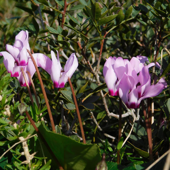 צאו לנוף – בלי תירוצים