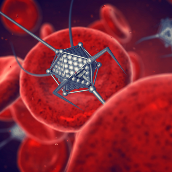 התרסיס שהופך חפצים לרובוטים