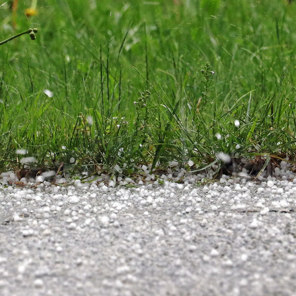 הברד שיורד דווקא כשחם