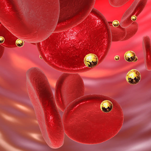 ננו-חלקיקים בשרשרת המזון