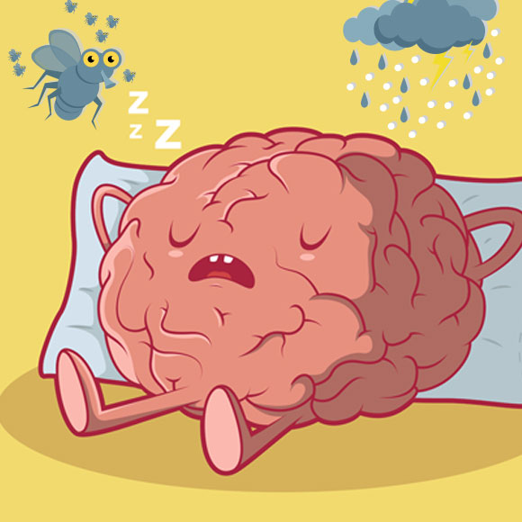 שטיפת מוח ג’וניור 34 – חידון מדעי על עשר המכות