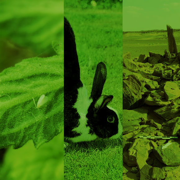 מהנשמדע 15/4 – מחקרים חדשים ביותר