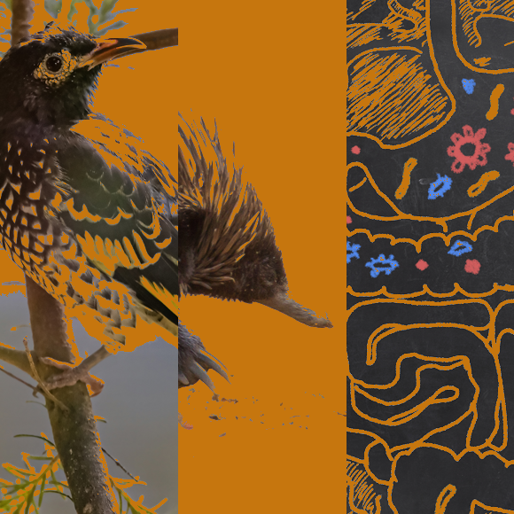 מהנשמדע 9/4 – מחקרים חדשים ביותר