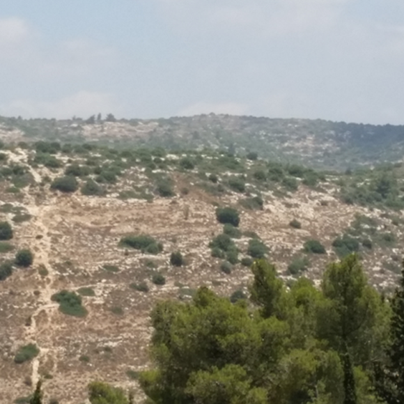 המדען שלא שב מן ההר