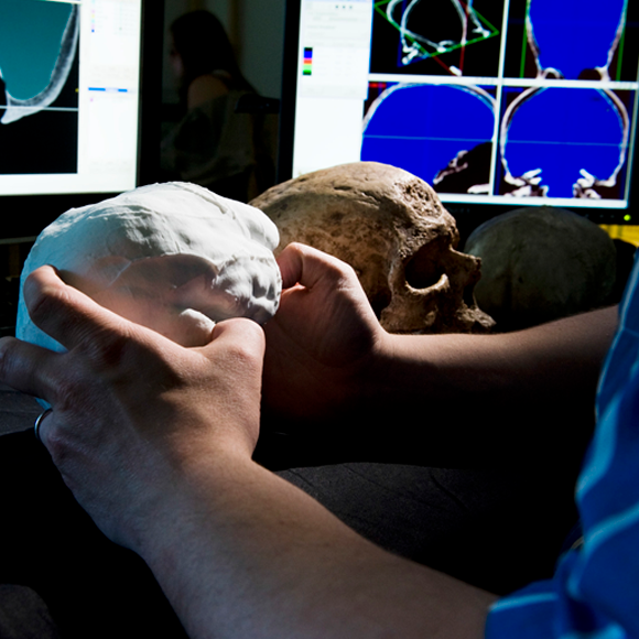 מתי התפתח המוח המודרני?