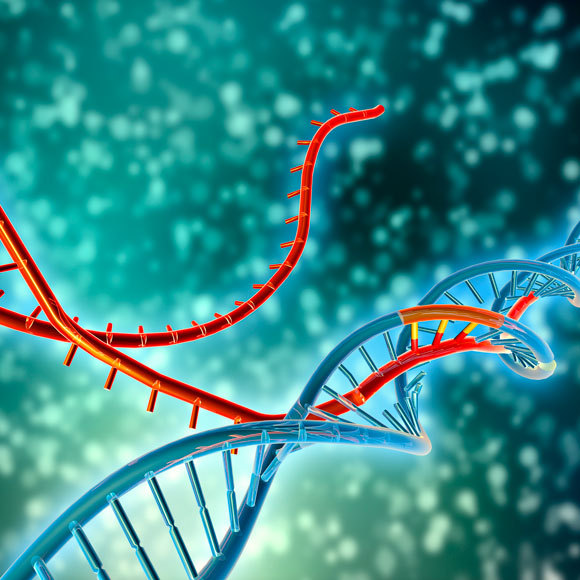 עריכת גֵנים נגד כולסטרול