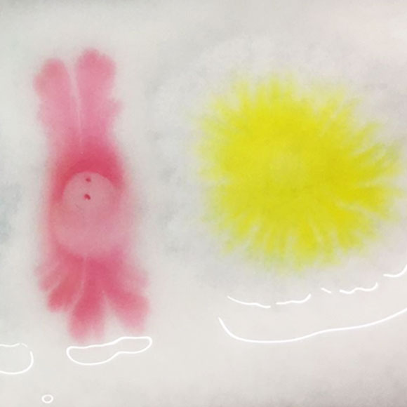 ציורים על דבק